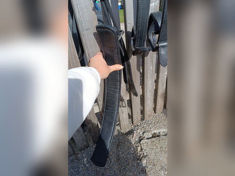 Ponygeschirr / Brustblattgeschirr inkl. Kopfstück, Fahrgeschirr Einspänner