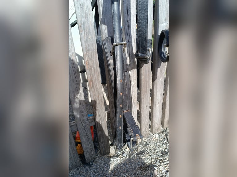 Ponygeschirr / Brustblattgeschirr inkl. Kopfstück, Fahrgeschirr Einspänner