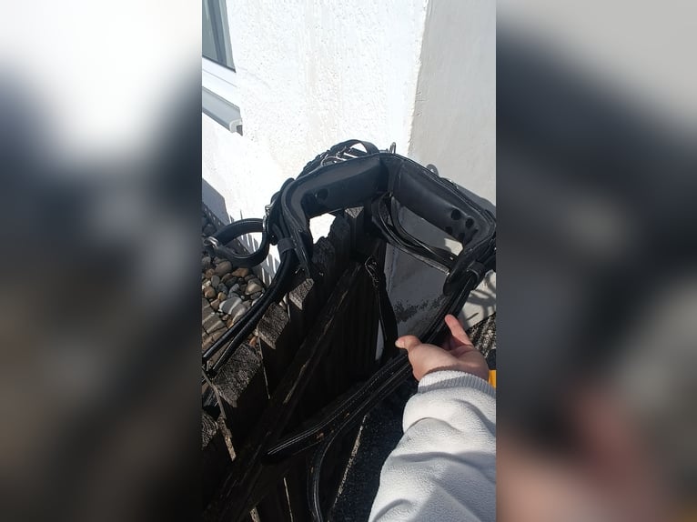 Ponygeschirr / Brustblattgeschirr inkl. Kopfstück, Fahrgeschirr Einspänner