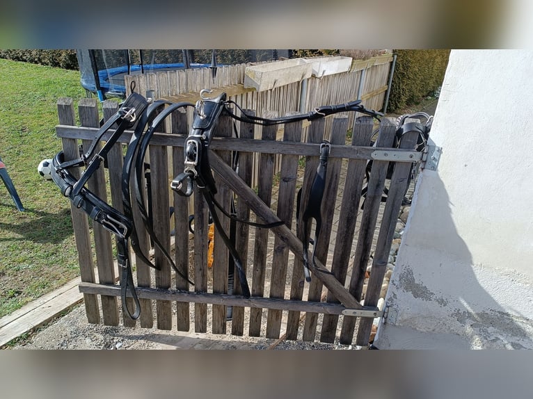 Ponygeschirr / Brustblattgeschirr inkl. Kopfstück, Fahrgeschirr Einspänner