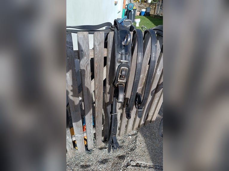 Ponygeschirr / Brustblattgeschirr inkl. Kopfstück, Fahrgeschirr Einspänner