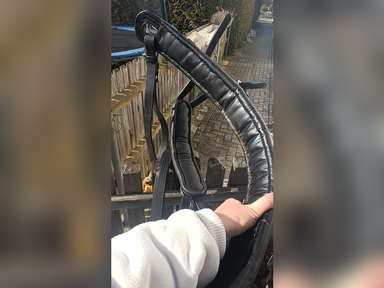 Ponygeschirr / Brustblattgeschirr inkl. Kopfstück, Fahrgeschirr Einspänner