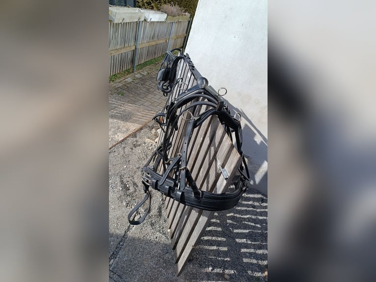 Ponygeschirr / Brustblattgeschirr inkl. Kopfstück, Fahrgeschirr Einspänner