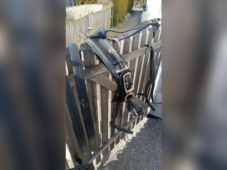 Ponygeschirr / Brustblattgeschirr inkl. Kopfstück, Fahrgeschirr Einspänner