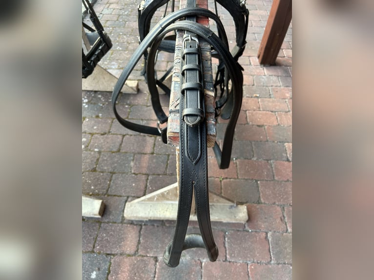 Zweispänner Geschirr 