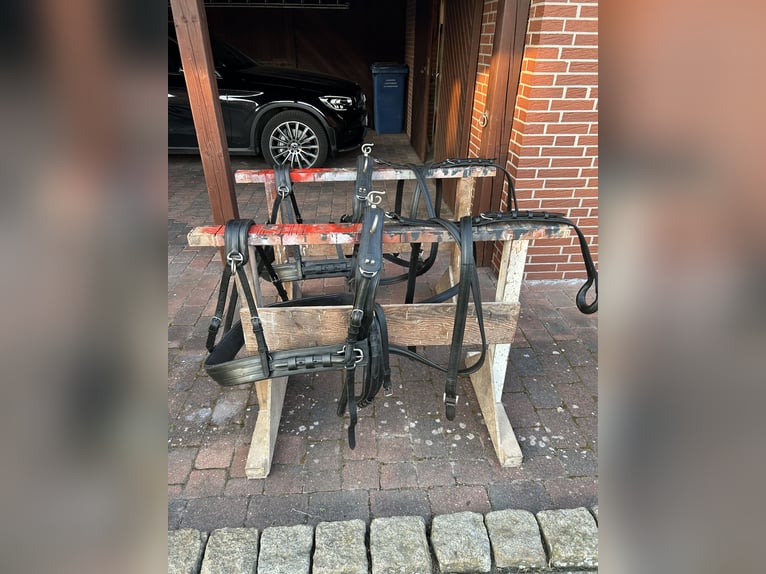 Zweispänner Geschirr 