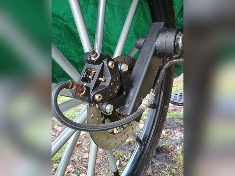Cremer Sulky Gig Kutsche Einspänner für Großpferd