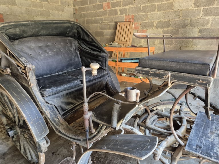 Historische Kutsche, 2 Spanner mit Verdeck