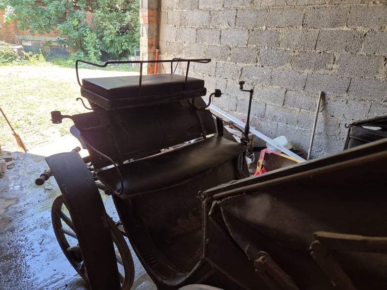 Historische Kutsche, 2 Spanner mit Verdeck