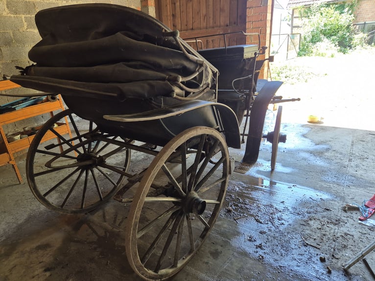 Historische Kutsche, 2 Spanner mit Verdeck