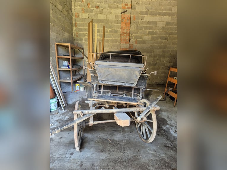 Historische Kutsche, 2 Spanner mit Verdeck