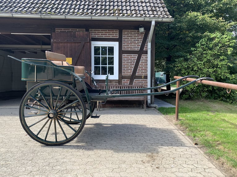 Historische Kutsche - Gouvernanten Gig