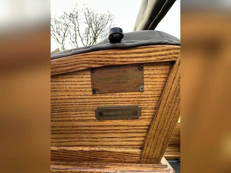Historischer amerikanischer Buggy (Baujahr 1914) – restauriert & fahrbereit – mit Wagenpass