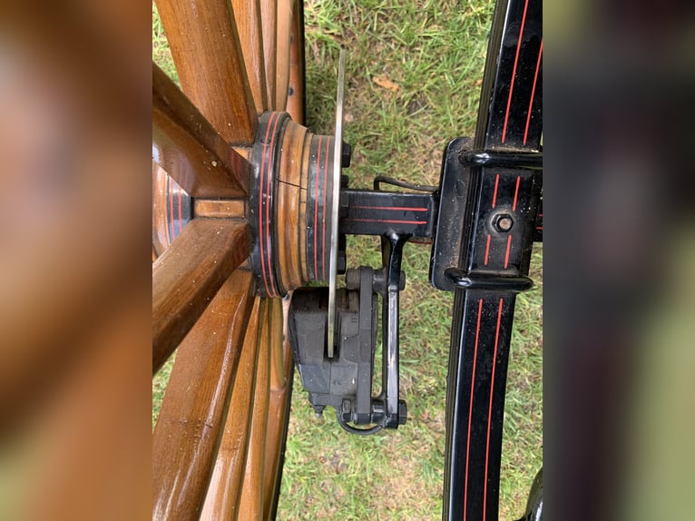 Kutsche Kühnle Linzer Wagen Jagdwagen