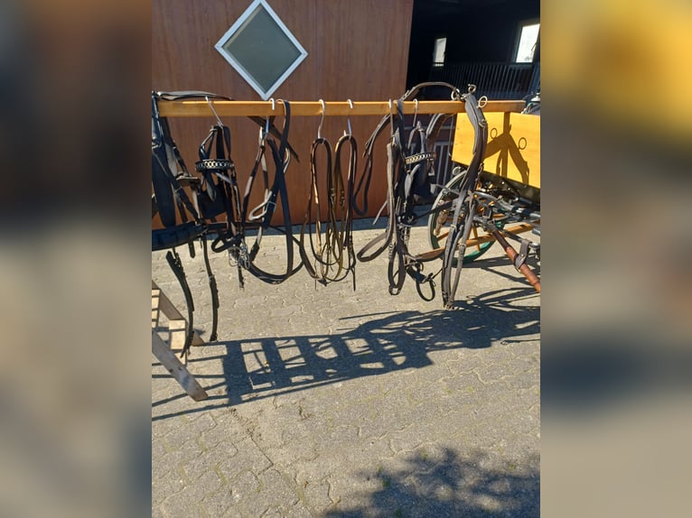 Kutsche zu verkaufen