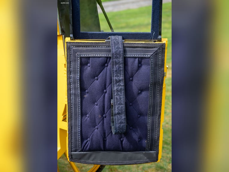 Lonsdale Wagonette