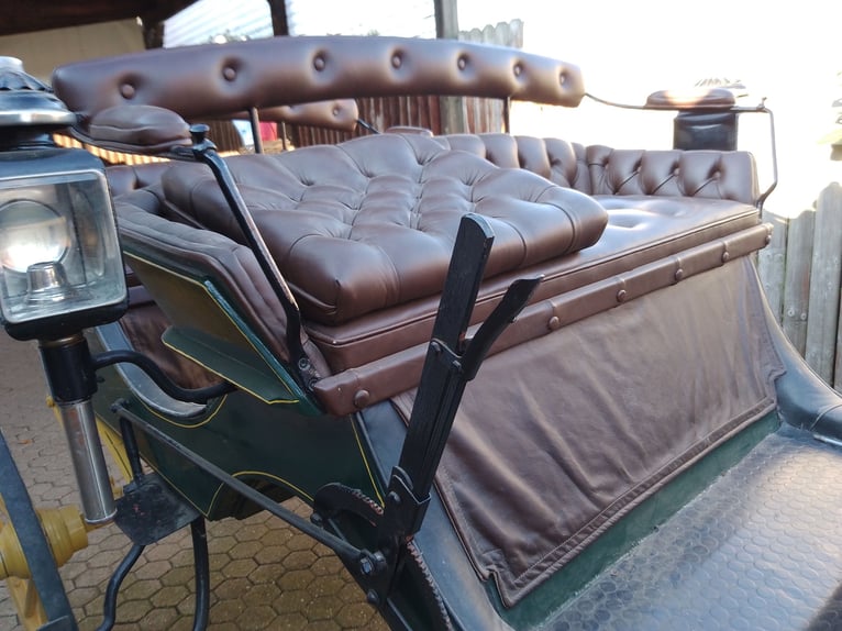 Original siamesischer Jagdphaeton – G.H.W. Trimpler Lüneburg – Top Zustand – Um 1920