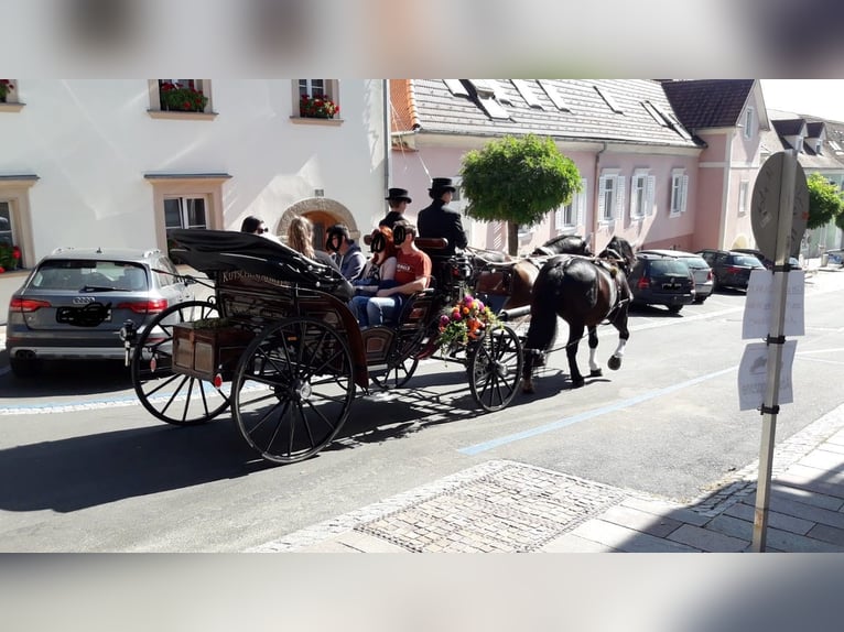 Pferdekutsche für Großpferde 
