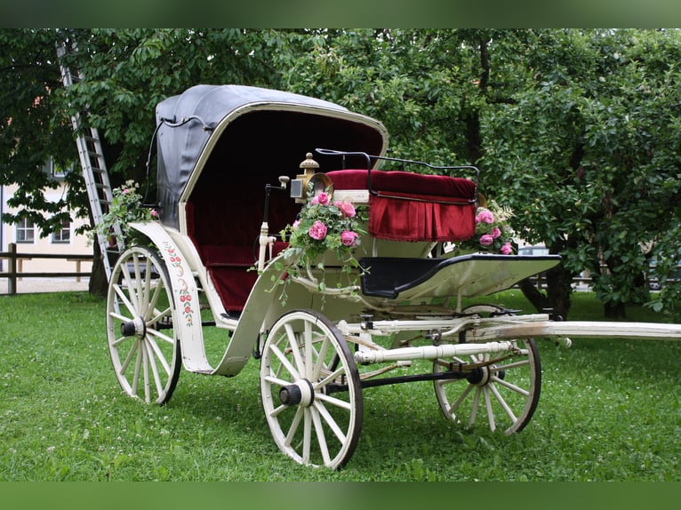 Schicke Hochzeitskutsche, Zweispänner, Dach montierbar, guter Zustand