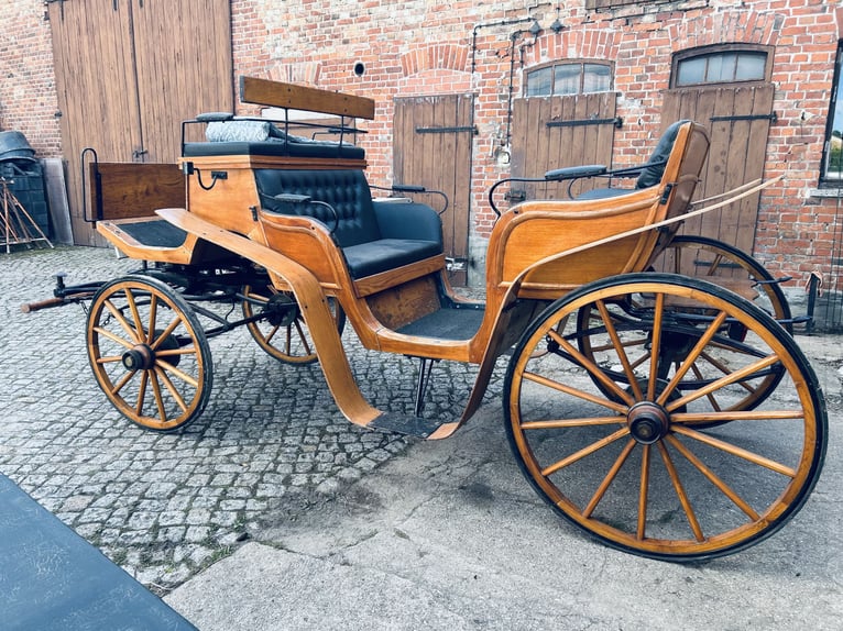 Traumhafter Pferdewagen – 6 Sitzplätze, Leder & Samt