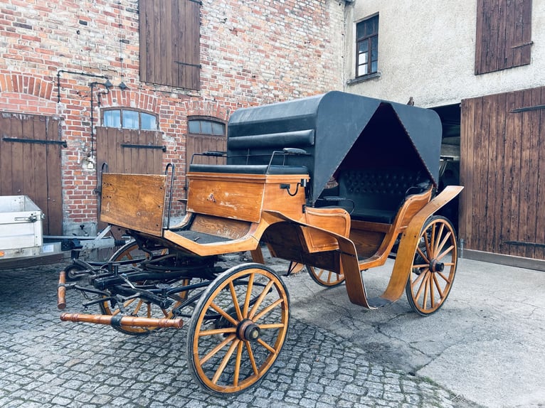 Traumhafter Pferdewagen – 6 Sitzplätze, Leder & Samt