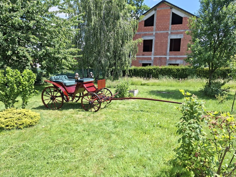Verkaufe eine antike Kutsche