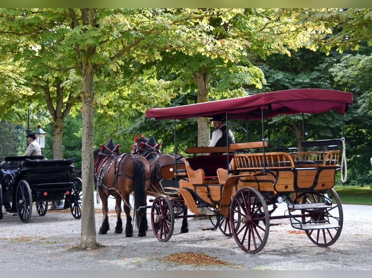 Planwagen- Picknickwagen