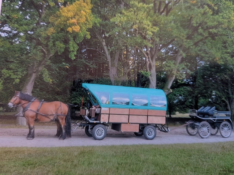 Planwagen, Sonderanfertigung