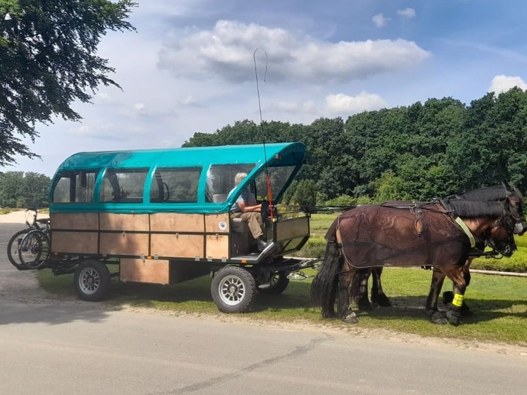 Planwagen, Sonderanfertigung