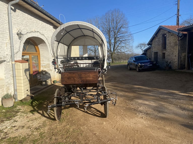 Sehr schöne Kutsche im Stil von einem Planwagen zu verkaufen / calèche