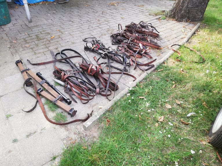 Ein- oder Zweispanner für Ponys/Kleinpferde + Geschirr