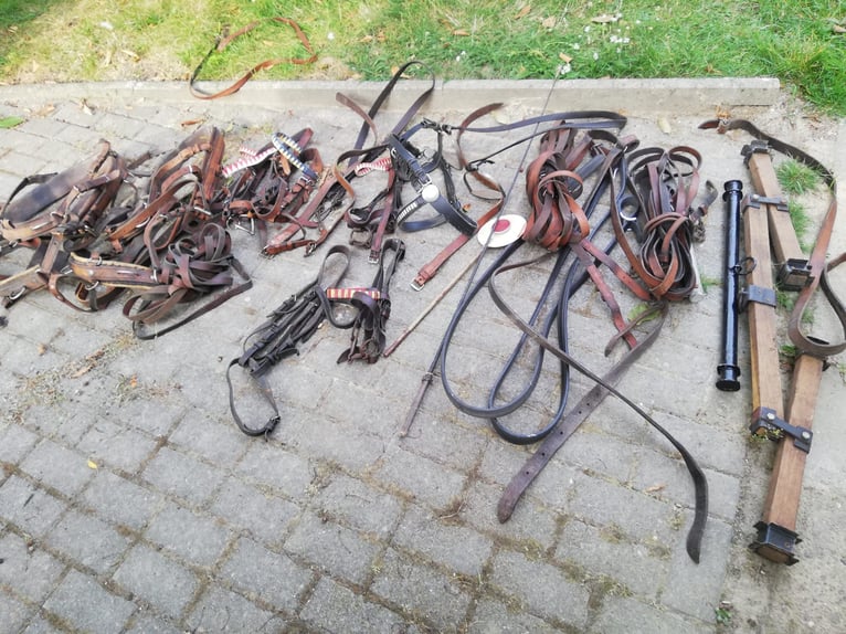 Ein- oder Zweispanner für Ponys/Kleinpferde + Geschirr