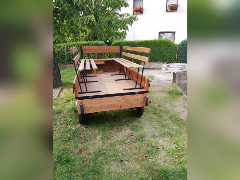 Ein- oder Zweispanner für Ponys/Kleinpferde + Geschirr