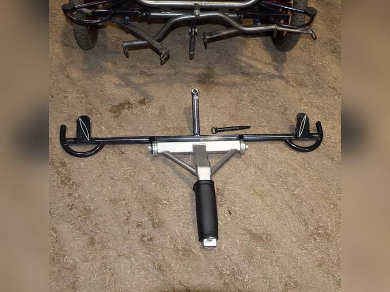 Kühnle Wagonette Kleinpferde Ein/Zweispänner Kutsche