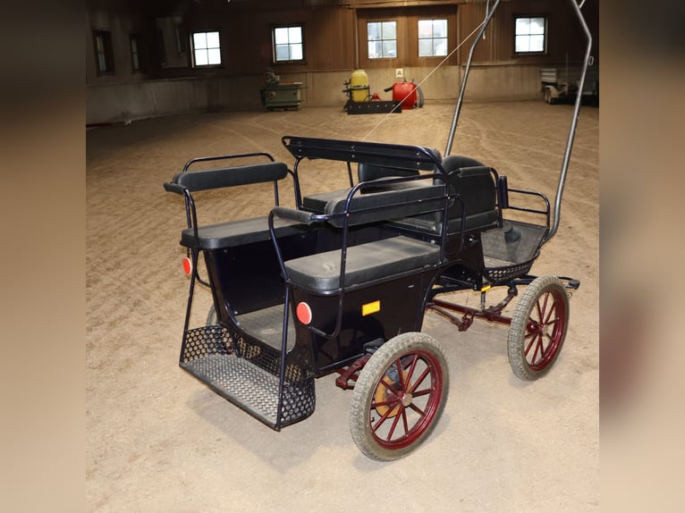 Kühnle Wagonette Kleinpferde Ein/Zweispänner Kutsche