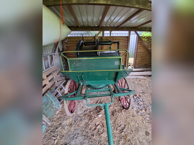 Kutsche, Marathonwagen, Ein- und Zweispännig