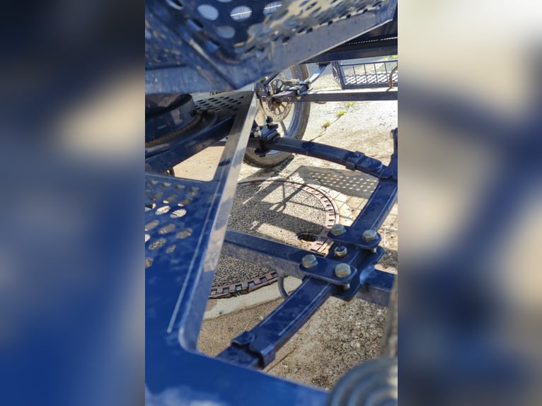 Pferde Kutsche in Top Zustand zu verkaufen - Unfallfrei