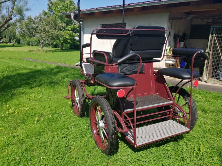 Pferdekutsche / Kombiwagen
