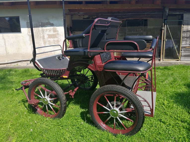 Pferdekutsche / Kombiwagen