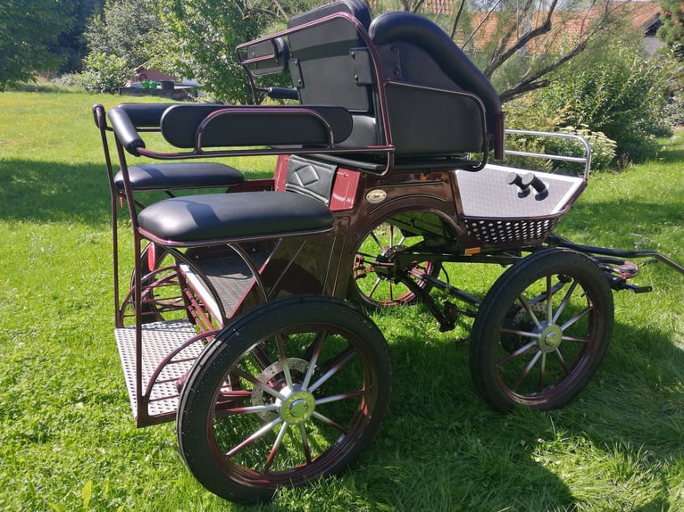 Pferdekutsche / Kombiwagen