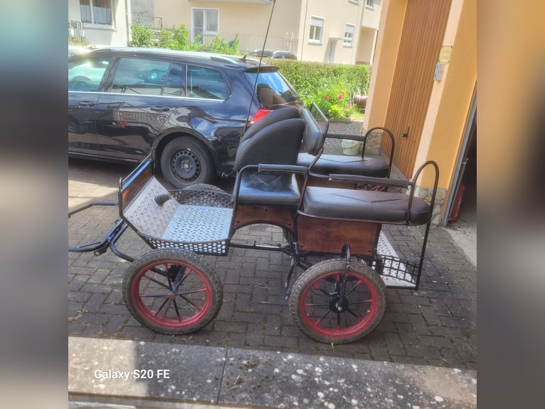 Ponykutsche, Wagonette