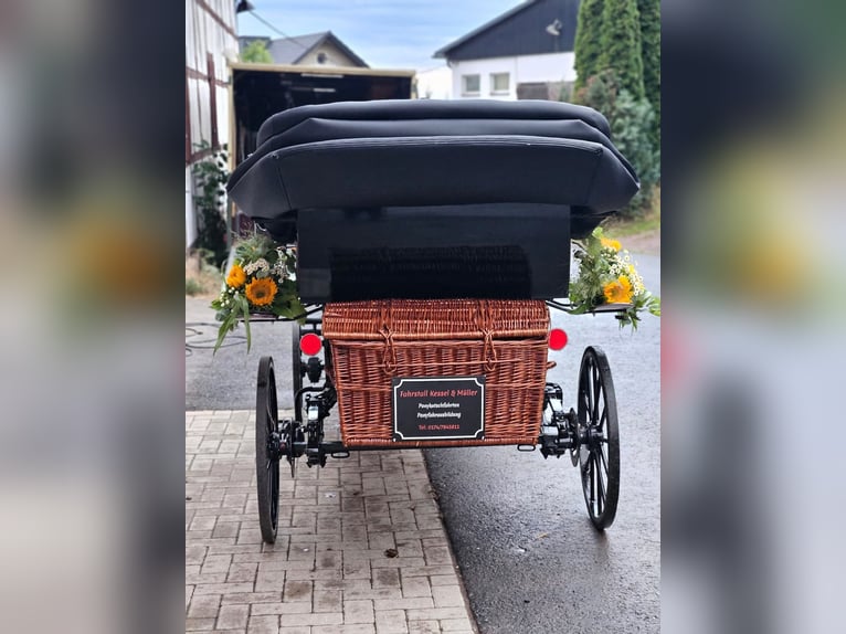 Schöne Vis a Vis Hochzeitskutsche Pony