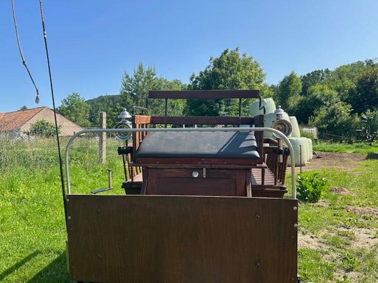 Wagonette 