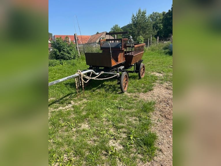 Wagonette 