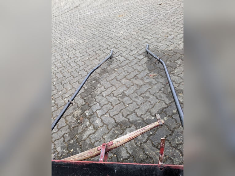 Einspännerkutsche