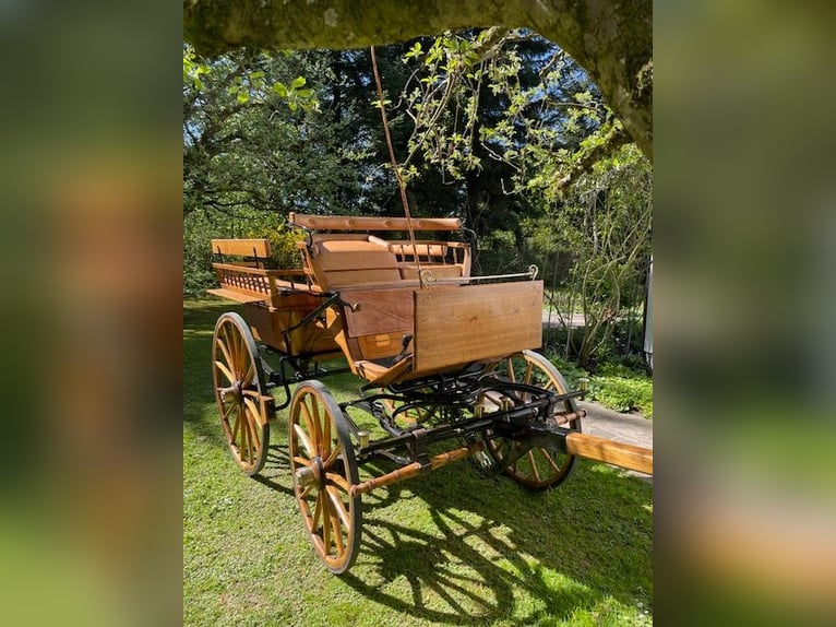 Exklusive Wagonette - Meisterstück aus Eiche natur
