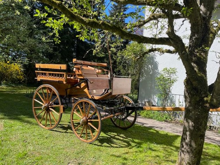 Exklusive Wagonette - Meisterstück aus Eiche natur