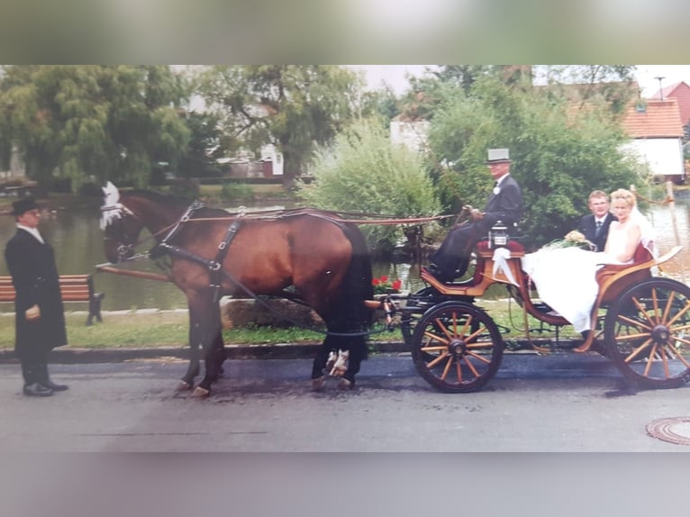 Hochzeitskutsche