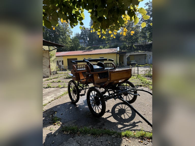 Jagdwagen