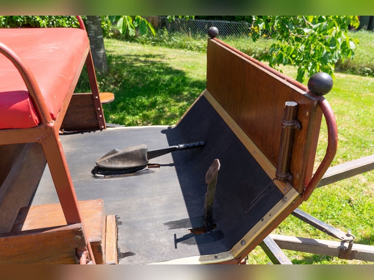 Jagdwagen, offene naturholzfarbende Kutsche,  Hochzeitskutsche